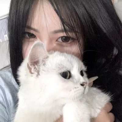 vochord轩辕天籁破解版下载